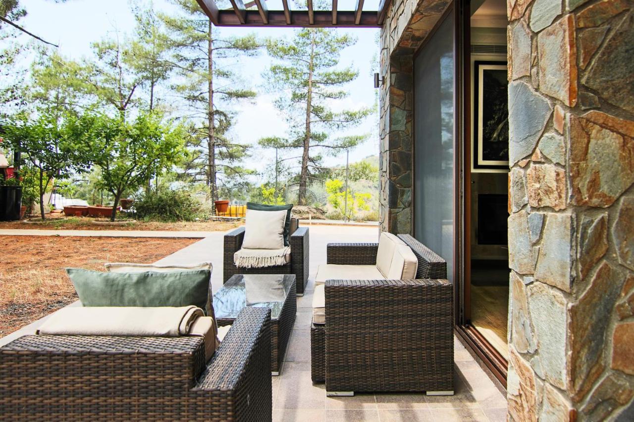 Phaedrus Living: Forest View Luxury Villa Chantara Foini 외부 사진